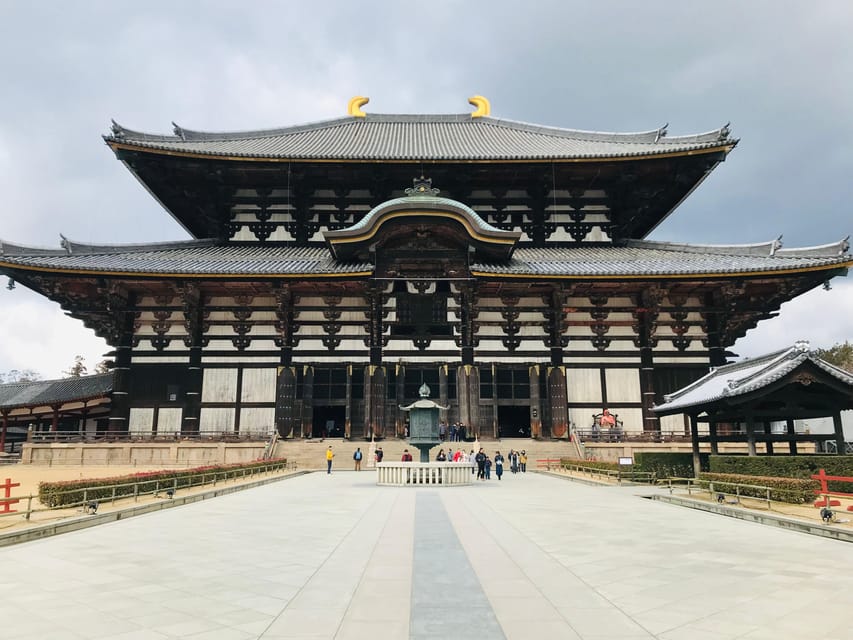 Nara: Essential Private Tour with Deer Park and Temples - What Masa adds to the walk