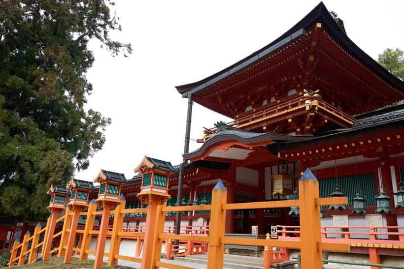 Nara: Great Buddha, Kasuga Shrine & Deer Park Tour - Who should book this experience?