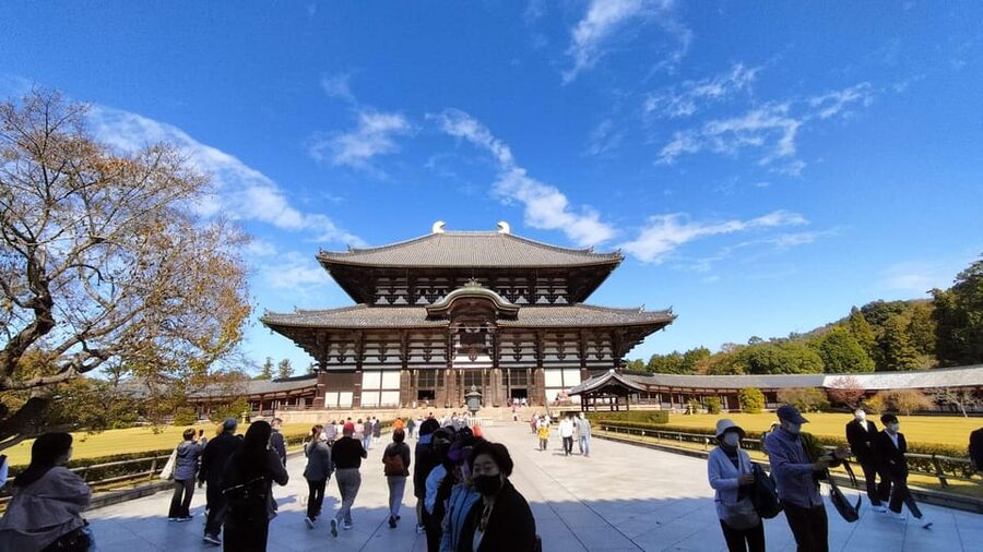 Nara: Great Buddha, Kasuga Shrine & Deer Park Tour - Meeting at Himuro Shrine