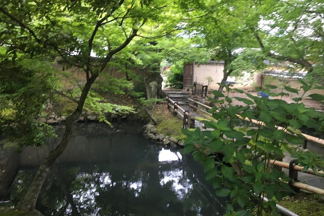 Nara Half Day Trip Walking Tour (Private Option Available) - Feeding deer safely in Nara Park