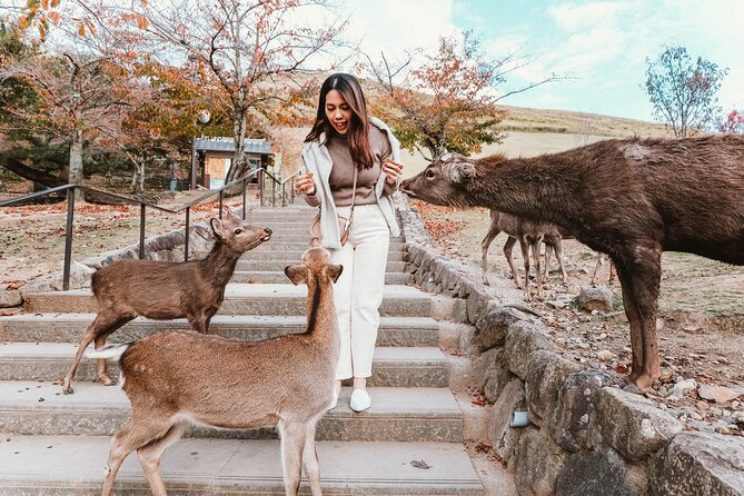 Nara Park, Osaka & Kobe from Kyoto Full Day tour - Dotonbori: Osaka’s food and neon in 90 minutes