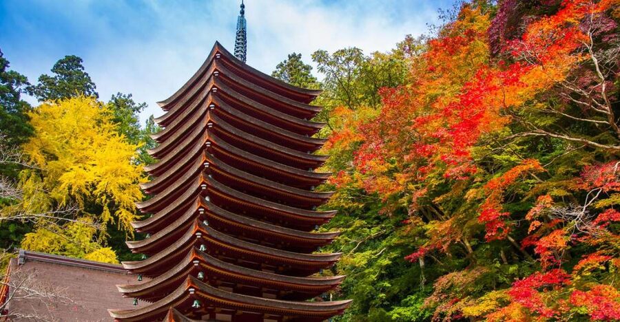 Nara: Private Tour with Private Guide - Key points at a glance
