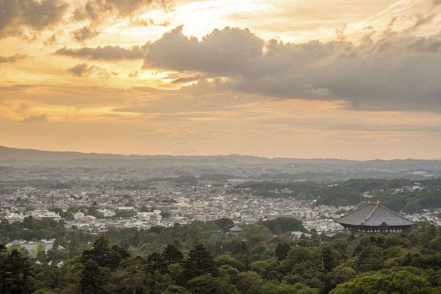 Nara: Private Walking Tour with a Local - A private start at JR Nara Station or Naramachi