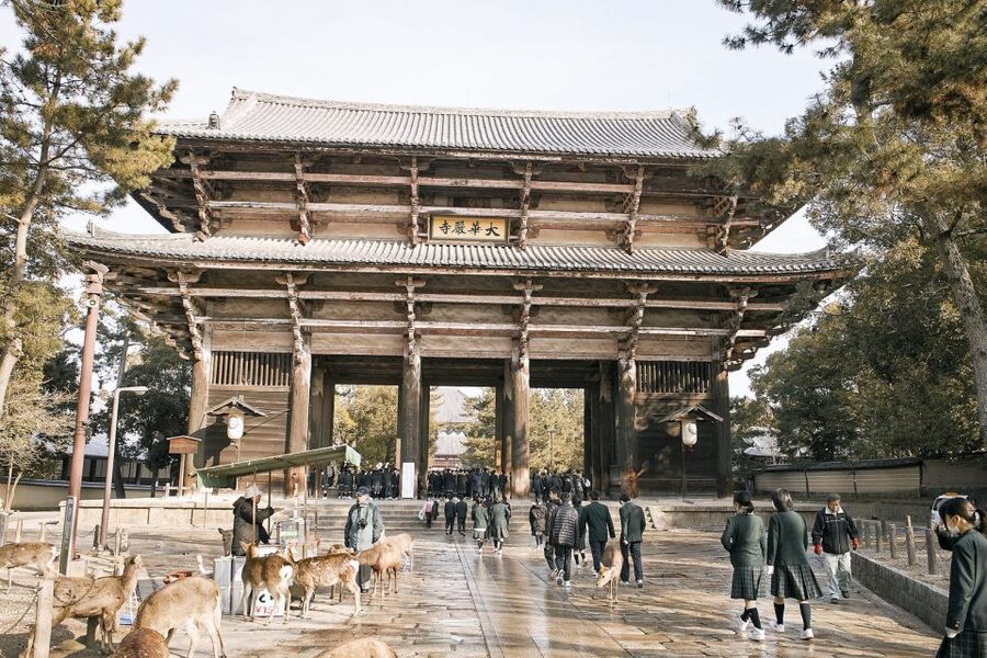 Nara: Private Walking Tour with a Local - Is $82 per person good value?