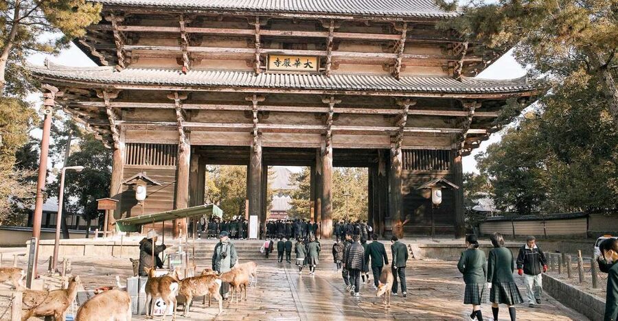 Nara: Private Walking Tour with a Local - Your interests set the route