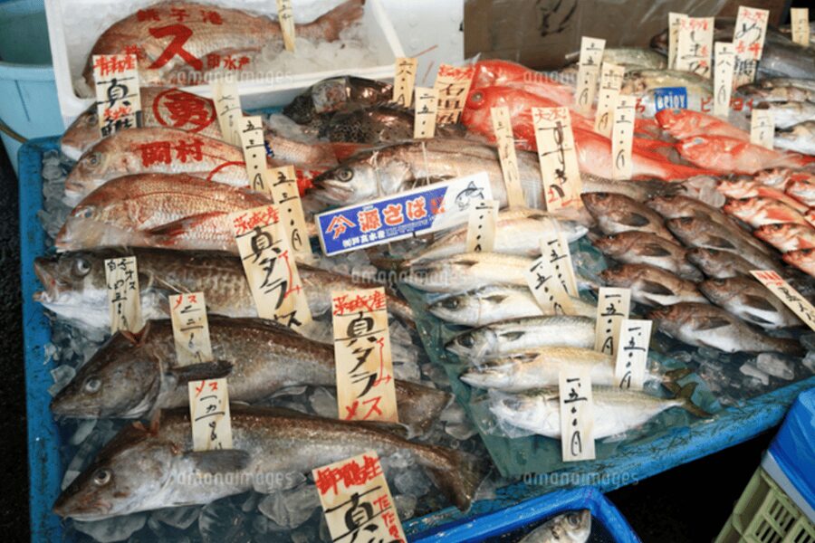 Niigata Private Custom Tour with Local Guide - Spend time along the Teradomari coast