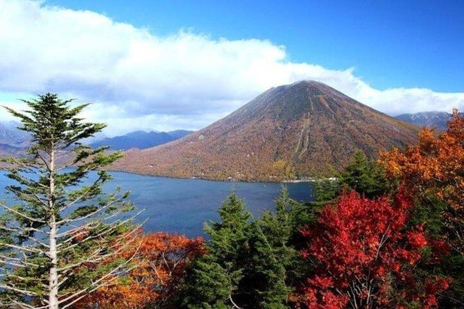 Nikko Full-Day Private Tour with Government-Licensed Guide - Smaller stops that can improve a custom day