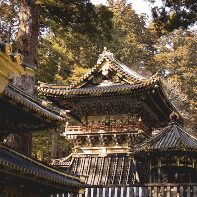 Nikko Heritage & Nature Day Trip from Tokyo - Lake Chuzenji and time for lunch