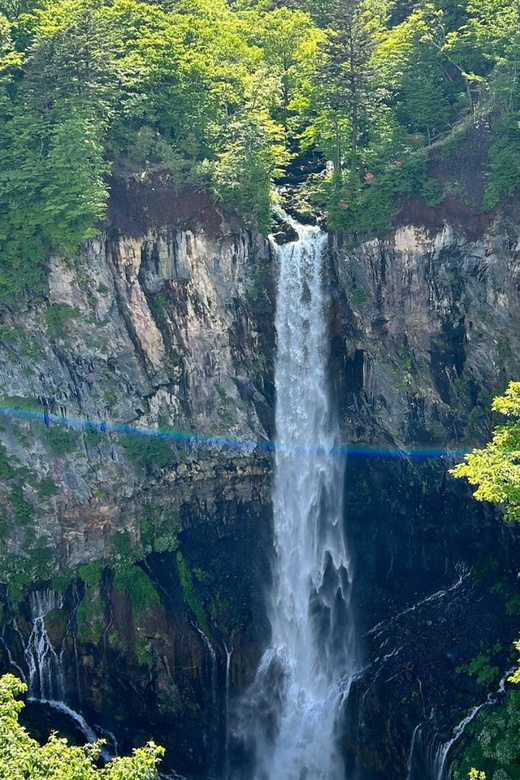 Nikko Heritage & Nature Day Trip from Tokyo - What the private vehicle adds