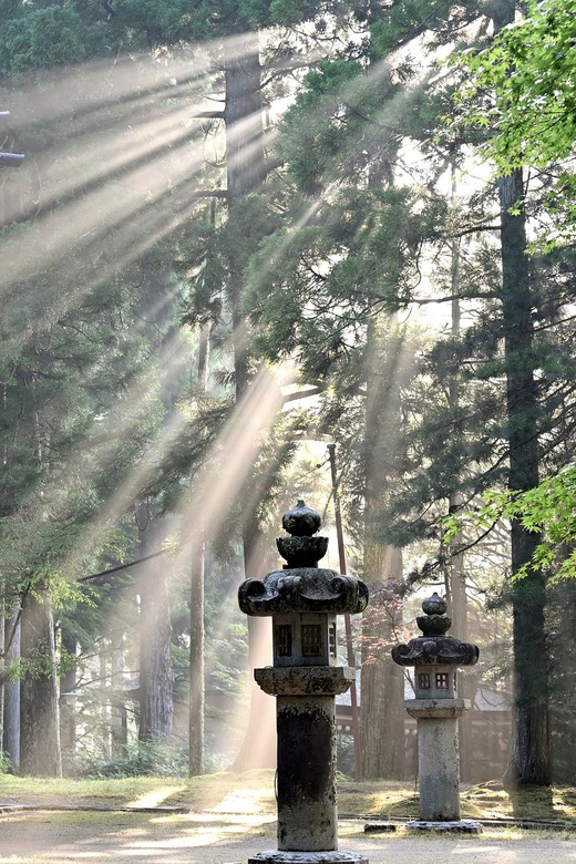 Nikko Heritage & Nature Day Trip from Tokyo - The long day, traffic, and crowd factor