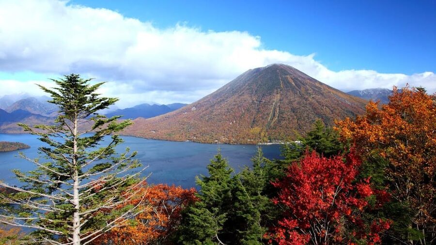 Nikko: Private Walking Tour with Local Guide - Price, transport, and overall value