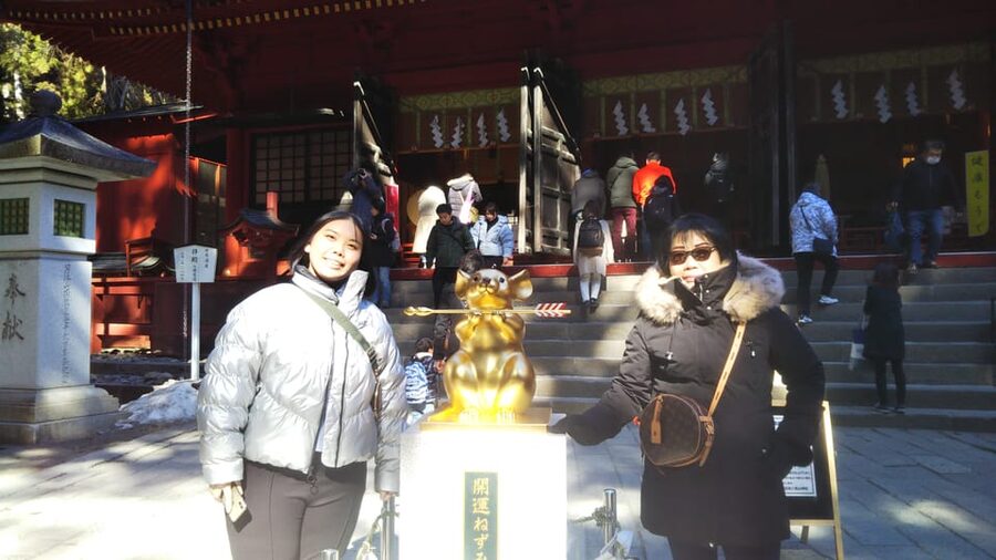 Nikko: Private Walking Tour with Local Guide - Toshogu Shrine and the art of the Edo period
