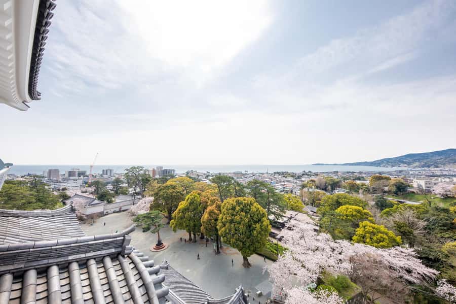 Odawara: Guided Ninja & Samurai Tour of Odawara Castle - Timing, cancellation, and practical planning