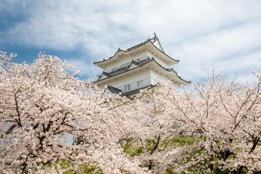 Odawara: Guided Ninja & Samurai Tour of Odawara Castle - Why Odawara makes a good castle stop