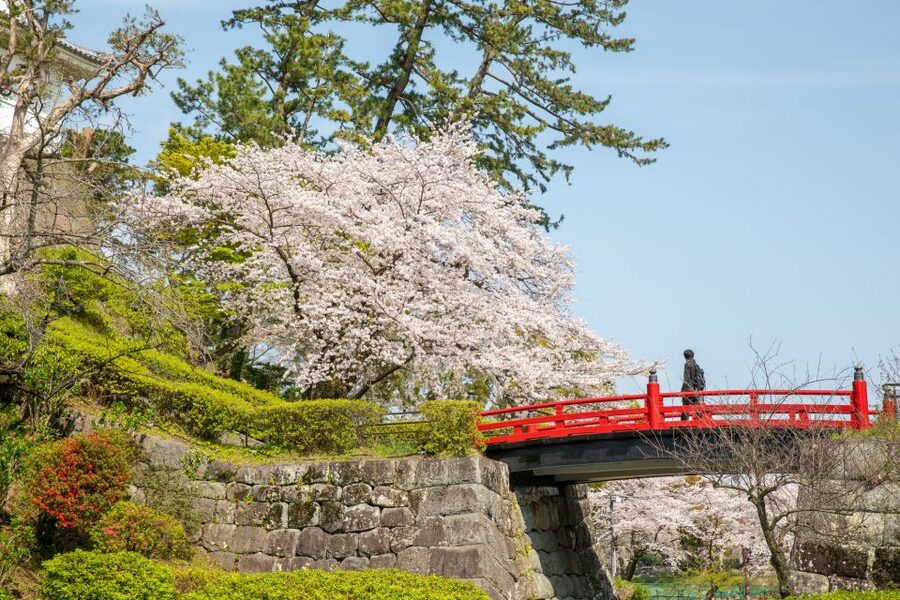 Odawara: Odawara Castle Tenshukaku Entrance Ticket - Reaching the Top for the Sagami Bay View
