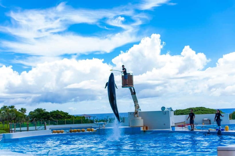 Okinawa: Churaumi Aquarium, Ryukyu Village & Manza Bus Tour - Manza Cape and the ¥100 decision
