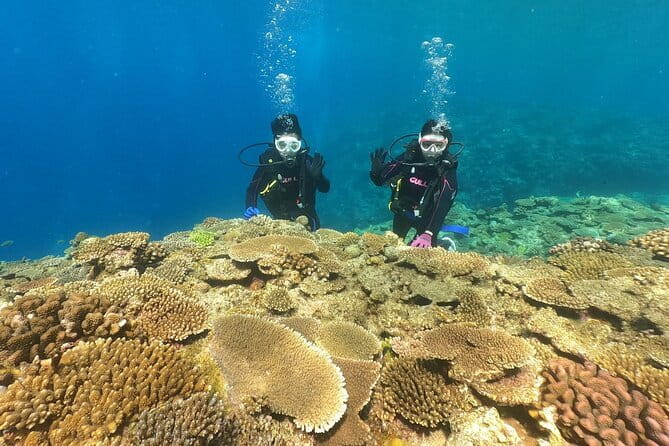 Okinawa: Discover SCUBA Diving 2 Dives at Minna, Sesoko or Motobu - Choosing between Minna, Sesoko, and Sakimotobu
