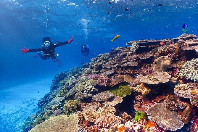 Okinawa: Discover SCUBA Diving 2 Dives at Minna, Sesoko or Motobu - Two sessions, with a change of site between them