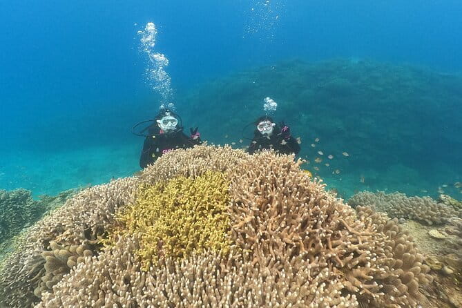 Okinawa: Discover SCUBA Diving 2 Dives at Minna, Sesoko or Motobu - The small comforts that make the boat ride better