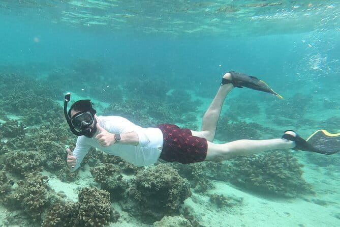 Okinawa: Discover SCUBA Diving 2 Dives at Minna, Sesoko or Motobu - Free photos and video are a real part of the value
