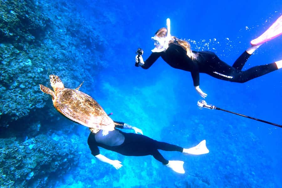 Okinawa: From Naha: Kerama Islands 1-day snorkeling tour - Seasonal extras: whales and Kerama Blue shaved ice