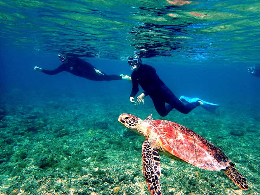 Okinawa: From Naha: Kerama Islands 1-day snorkeling tour - What the first snorkel stop feels like