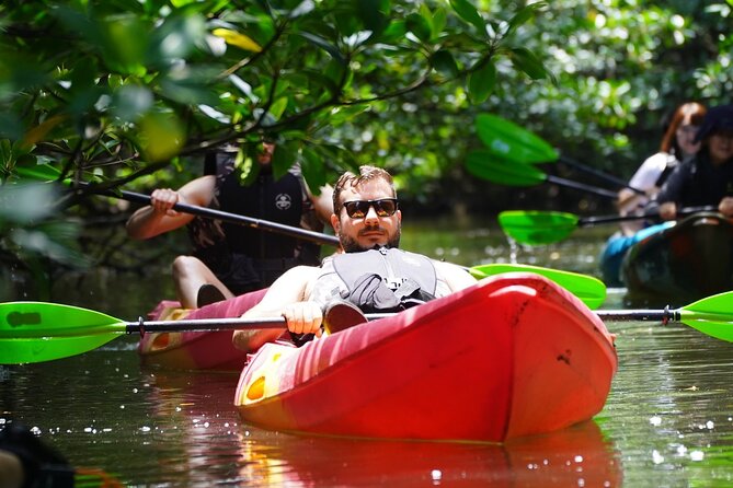 Okinawa Iriomote Mangrove SUP or Canoe and Splash Canyoning Tour - Mangrove paddling on a sheltered river