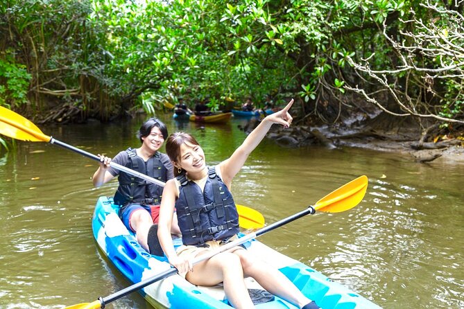 Okinawa Iriomote Mangrove SUP or Canoe Tour - What the Two-Hour Schedule Gives You