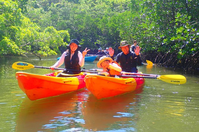 Okinawa Iriomote Mangrove SUP or Canoe Tour - Practical Preparation Before You Go