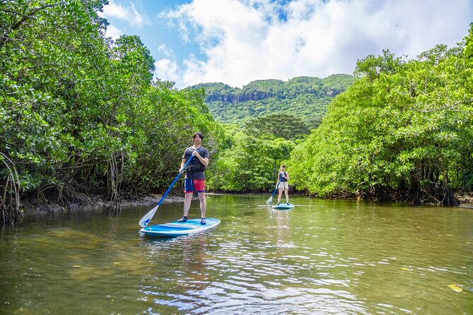 Okinawa Iriomote Mangrove SUP or Canoe Tour - Language, Pickup, and Timing Details