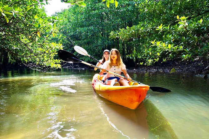 Okinawa Iriomote Mangrove SUP or Canoe Tour - Is $52.40 a Fair Price?