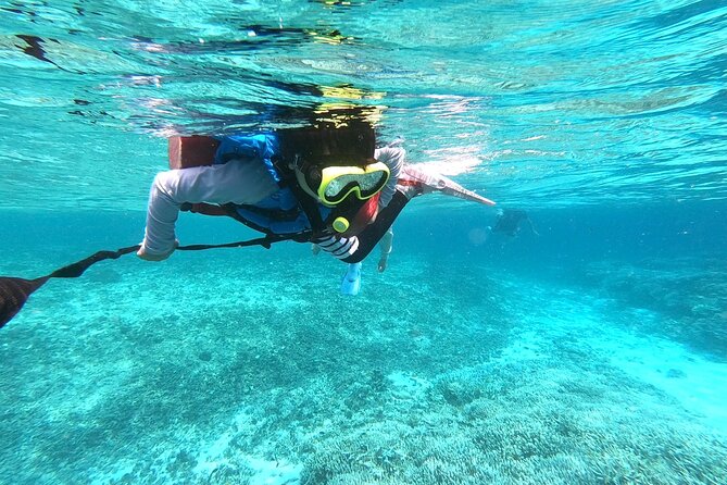Okinawa Iriomote Snorkeling Tour at Coral Island - What to wear and what to bring