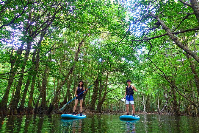 Okinawa Iriomote SUP or Canoe and Sightseeing in Yubujima Island - Visiting Yubu Island in the afternoon