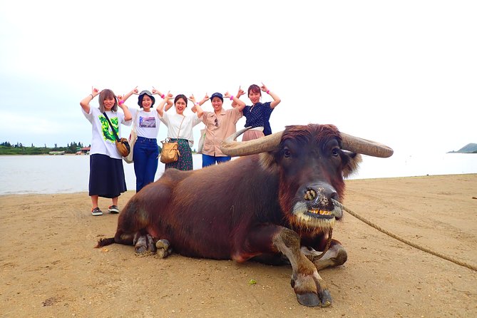 Okinawa Iriomote SUP or Canoe and Sightseeing in Yubujima Island - Free photos, showers, and the gear you receive
