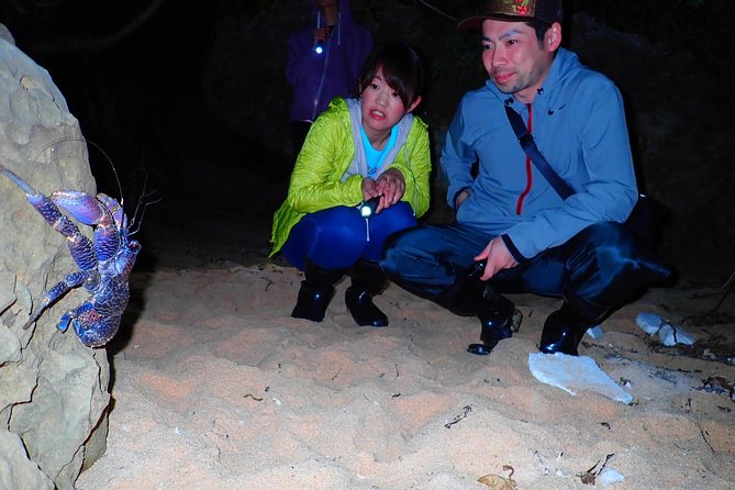 Okinawa Iriomotejima Night Adventure Tour - Guides, language, and group feel