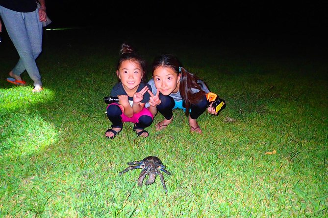 Okinawa Iriomotejima Night Adventure Tour - Starting at 8 p.m. in the Uehara area