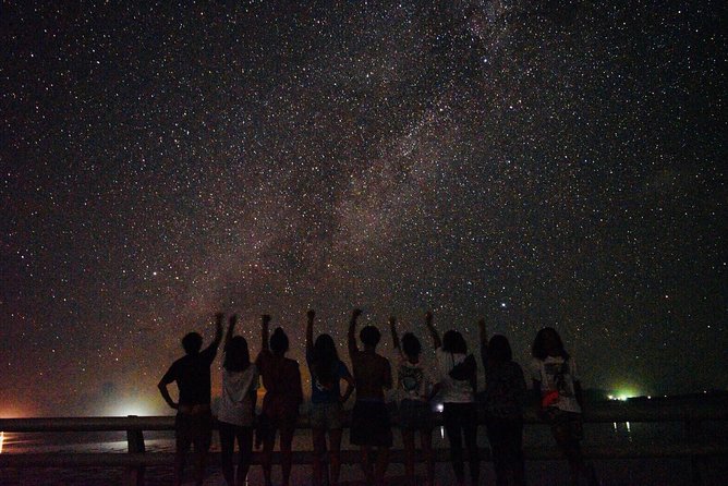 Okinawa Ishigaki Island Night Starry sky and Jungle night tour - What the Ishigaki night tour is really about