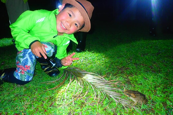 Okinawa Ishigaki Island Night Starry sky and Jungle night tour - A starry sky that depends on the clouds
