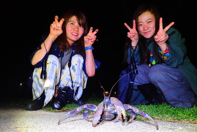 Okinawa Ishigaki Island Night Starry sky and Jungle night tour - Is $32.37 a fair price?