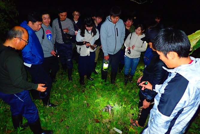 Okinawa Ishigaki Island Night Starry sky and Jungle night tour - Who will enjoy this most?