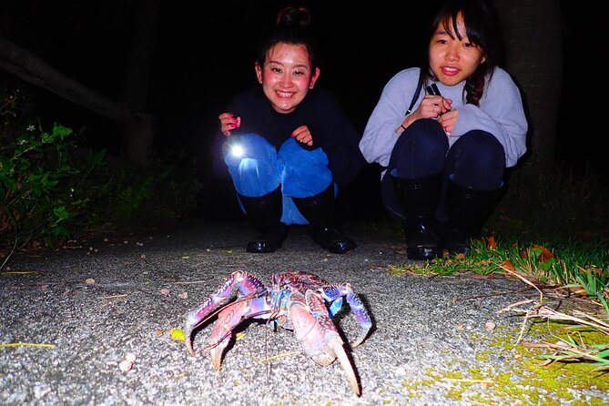 Okinawa Ishigaki Island Night Starry sky and Jungle night tour - Searching the beach and trees for night creatures
