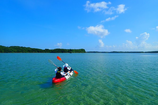 Okinawa Ishigaki Kabira Bay SUP or Canoe and Blue Cave Snorkeling - Who should book this Ishigaki tour?