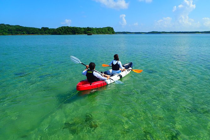 Okinawa Ishigaki Kabira Bay SUP or Canoe Tour - SUP or canoe: which should you choose?