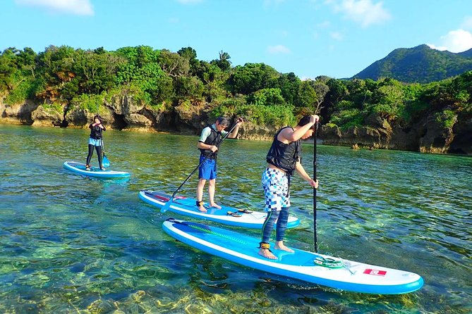 Okinawa Ishigaki Kabira Bay SUP or Canoe Tour - What the $52.19 price includes