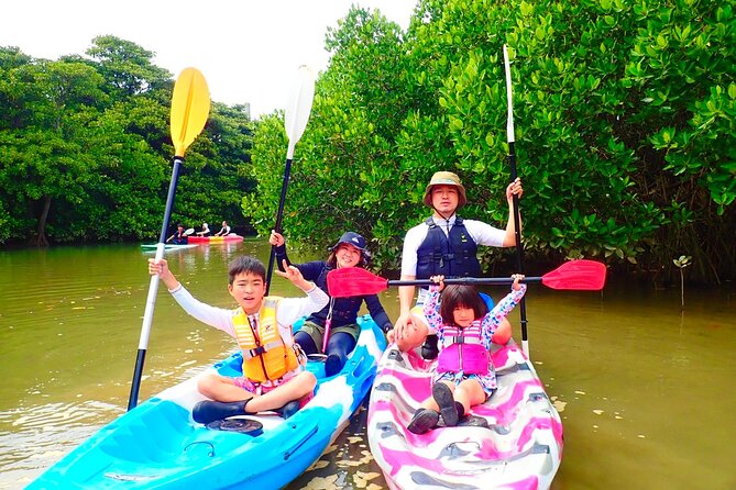 Okinawa Ishigaki Mangrove SUP or Canoe Tour - Why the Miyara River is a good place to paddle