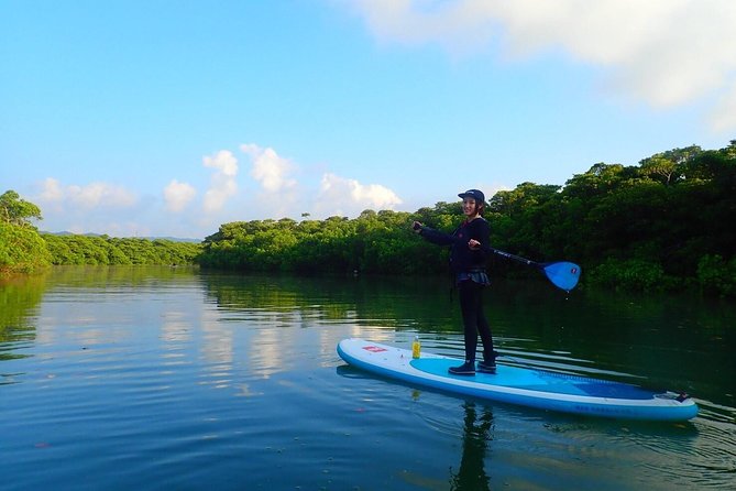 Okinawa Ishigaki Mangrove SUP or Canoe Tour - Guides, language, and the feel of the group