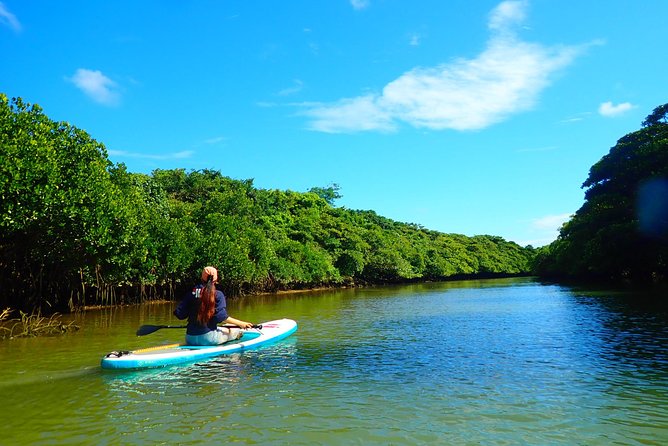 Okinawa Ishigaki Mangrove SUP or Canoe Tour - The small comforts that improve the experience