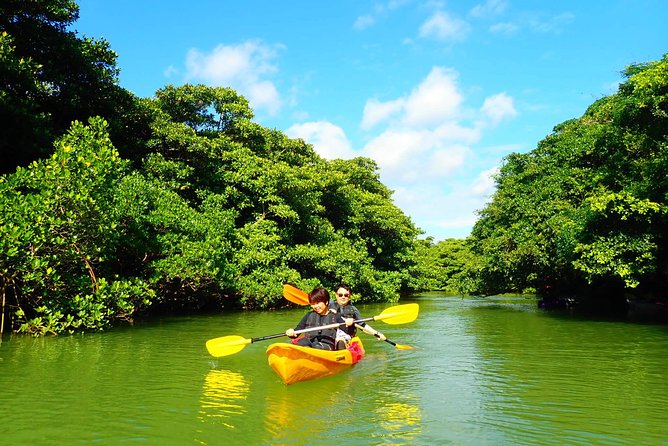 Okinawa Ishigaki Mangrove SUP or Canoe Tour - Weather and timing on Ishigaki