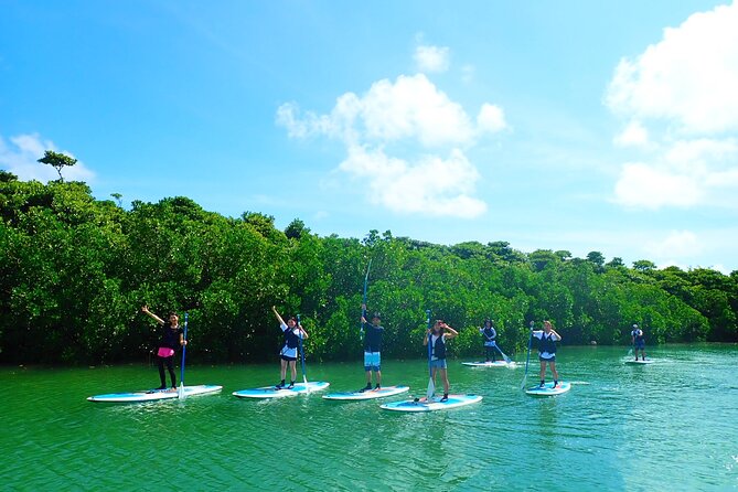 Okinawa Ishigaki Mangrove SUP or Canoe Tour - Is $52.19 a fair price?