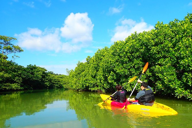 Okinawa Ishigaki Mangrove SUP or Canoe Tour - Who will enjoy this tour most?